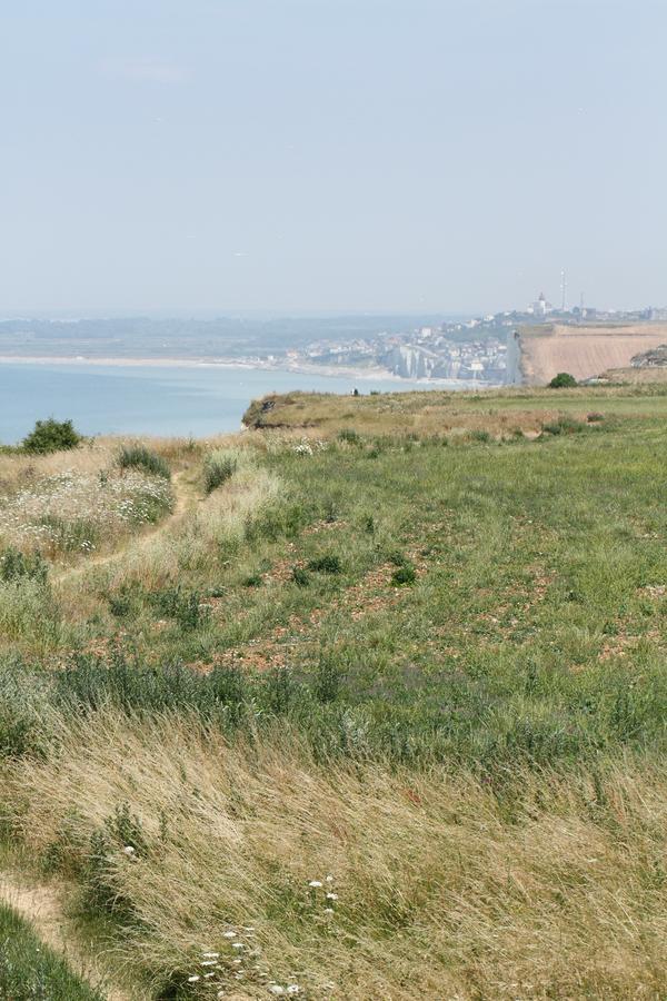 Royal Albion Hotel Mesnil-Val-Plage